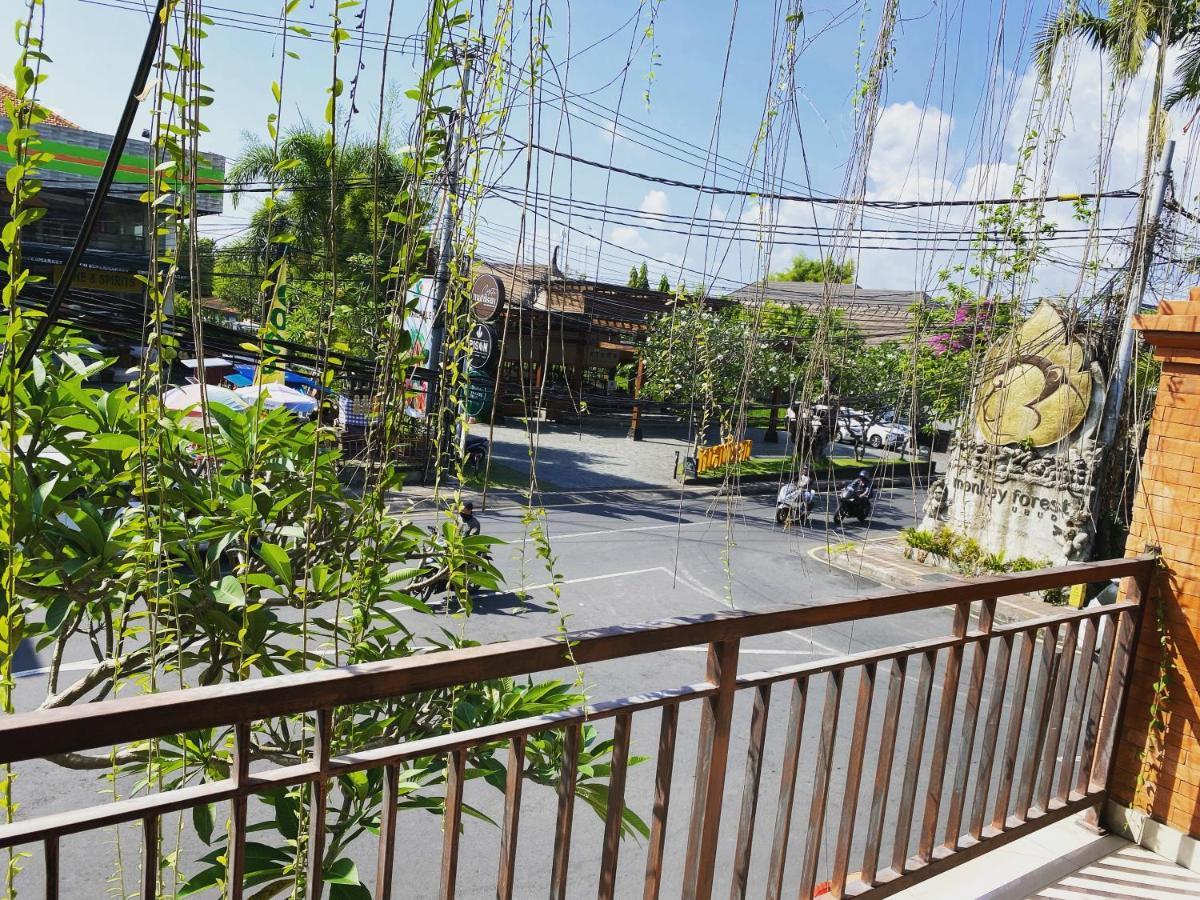 Grey House Monkey Forest 우붓 외부 사진